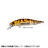 SHIMANO XJ-265S Soare Rise Shot Flat 65S AR-C 009 Striped Shrimp