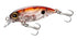 SHIMANO OM-137R Soare Rise Shot 37F 014 Clear Squid *Payment not available in store