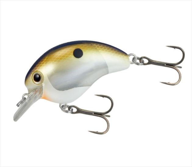 SHIMANO Bass Lure ZQ-C56V World Rush 56F Flash Boost 005 Sexy G Shad *Payment not available in store