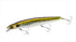 SHIMANO Sea Bass Lure XM-X12V SHIMANO x Kaiyodo Fujigoro Iwashi 129F 002 N Brown