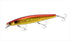 SHIMANO Sea Bass Lure XM-X12V SHIMANO x Kaiyodo Fujigoro Iwashi 129F 003 A Akakin