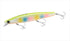 SHIMANO Sea Bass Lure XM-X12V SHIMANO x Kaiyodo Fujigoro Iwashi 129F 004 T Candy