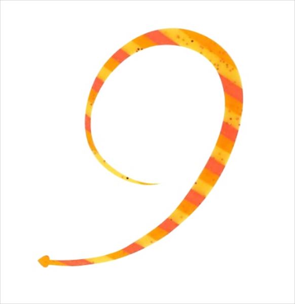 Hayabusa Tairaba SE189-8 Free Slide Tie Bulky Curly Single Triple Orange Zebra