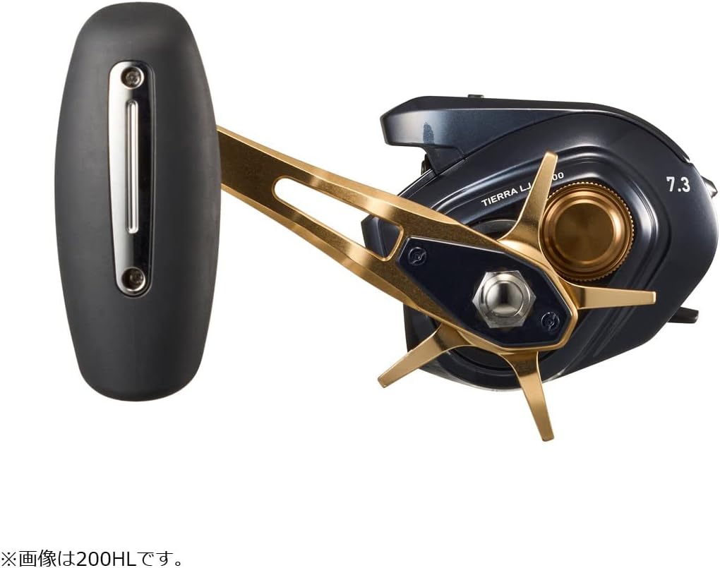 DAIWA Baitcasting Reel Tierra LJ IC200L (left)