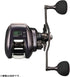 DAIWA Baitcasting Reel 24 Kouga IC 200PL (left)