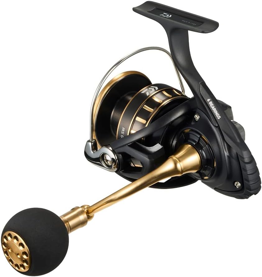 DAIWA Spinning Reel 23BG SW 6000D-H