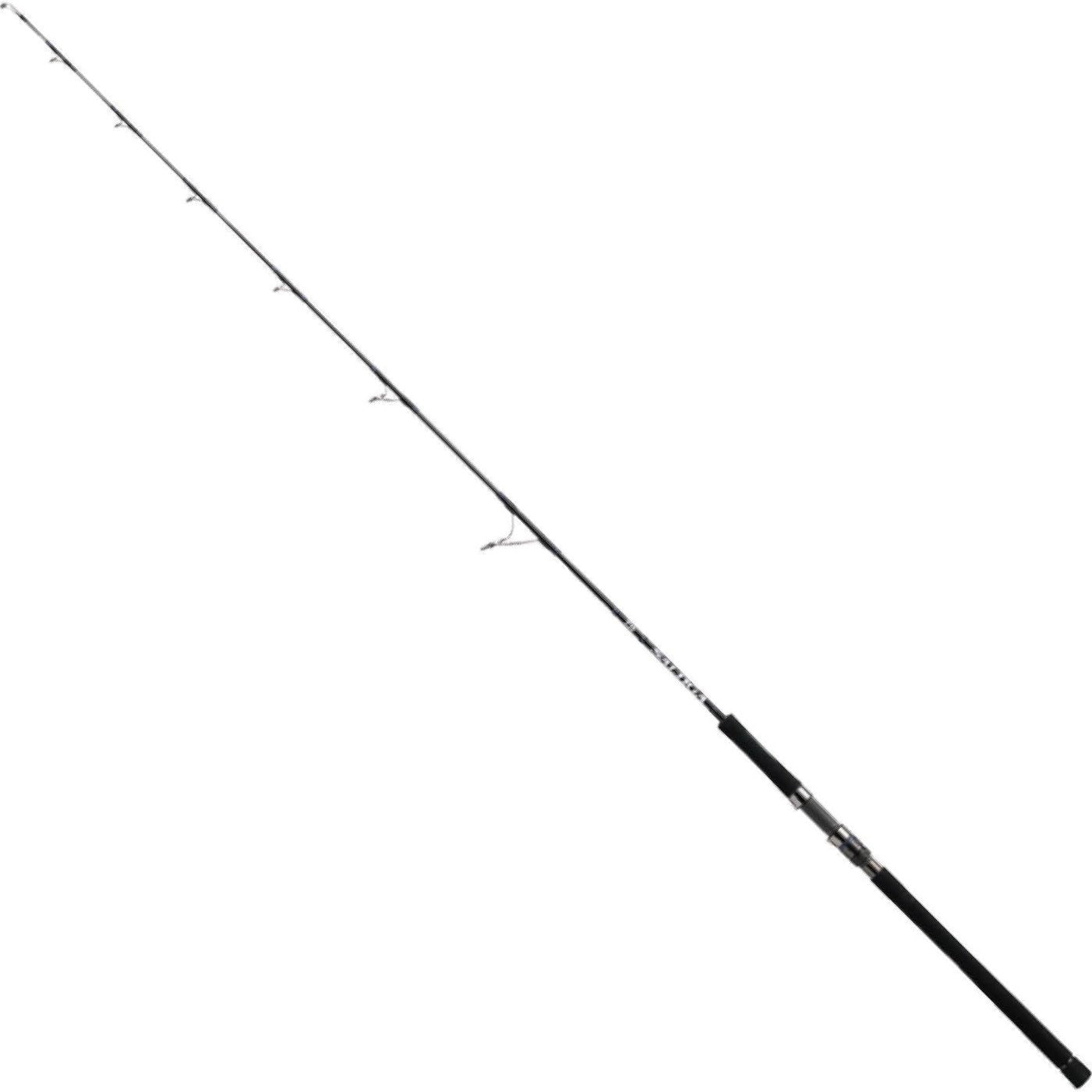 DAIWA   ROD      SALTIGA EBING