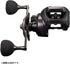 DAIWA Baitcasting Reel 24 Kouga IC 200PL (left)
