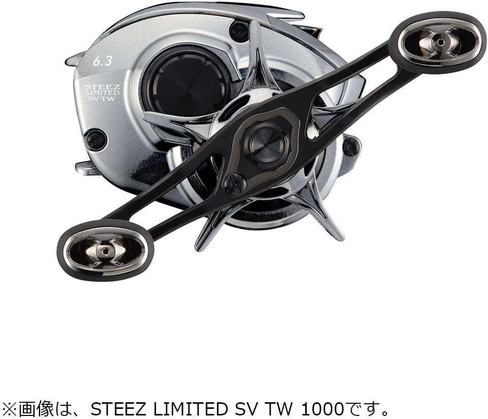 DAIWA Steez Limited SV TW 1000H (right-handed)
