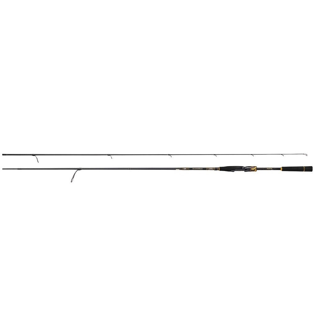 DAIWA   ROD  MORETHAN BRANZINO EX AGS