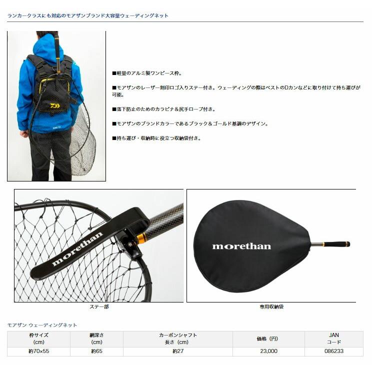 DAIWA More Than Wading Net