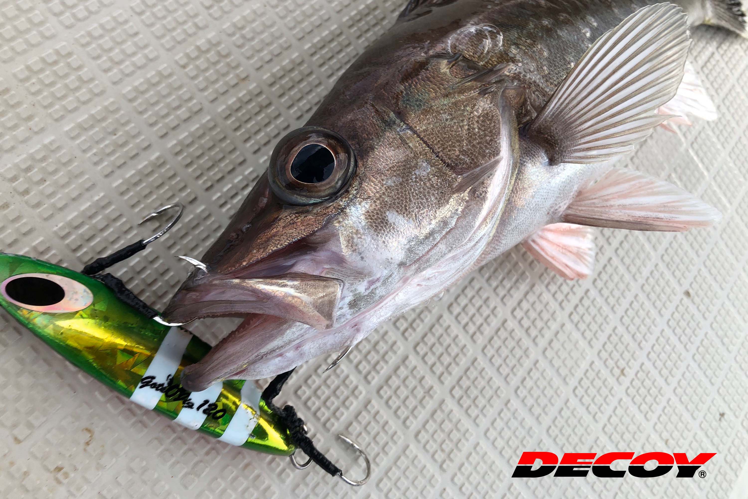 DECOY  Twin Pike Shorter DJ-80