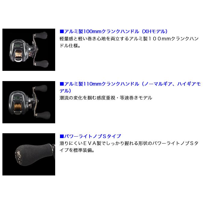 DAIWA Baitcasting Reel Tierra IC 100H 2021 Model (Right-Handed)