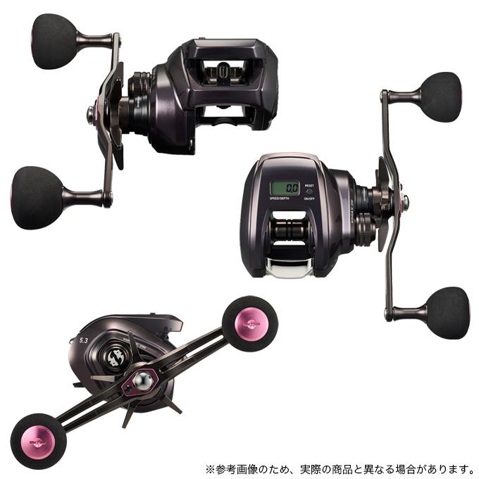 DAIWA Baitcasting Reel 24 Kouga IC 200P (Right)