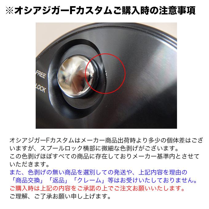 SHIMANO Reel Ocea Jigger F Custom 2001NRHG (left-handed)