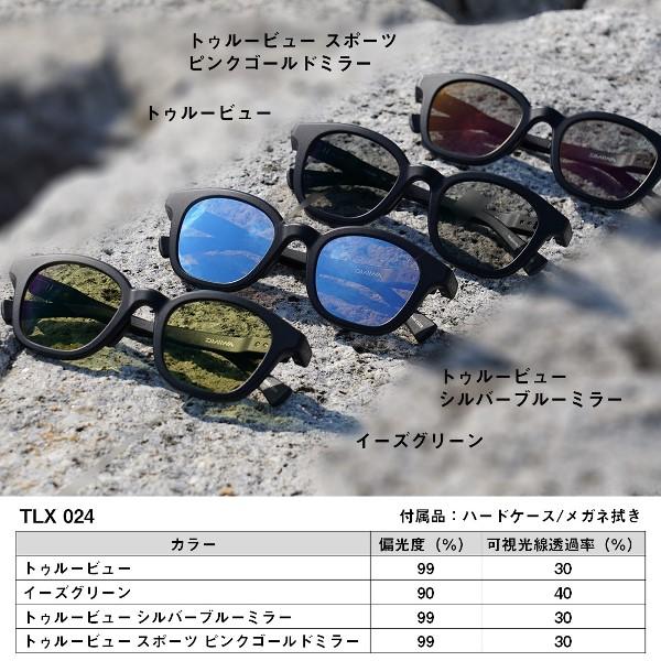 DAIWA Polarized Glasses TLX 024 True View