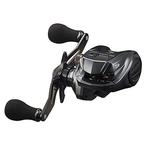 DAIWA Baitcasting Reel Tierra IC 100L 2021 Model (Left-handed)