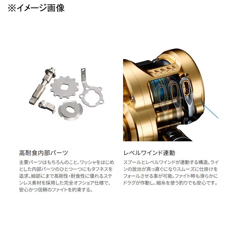 SHIMANO Baitcasting Reel 23 Ocea Conquest 201HG (Left)