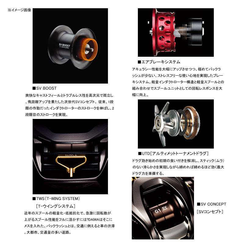 DAIWA Steez Limited SV TW 1000HL (left-handed)
