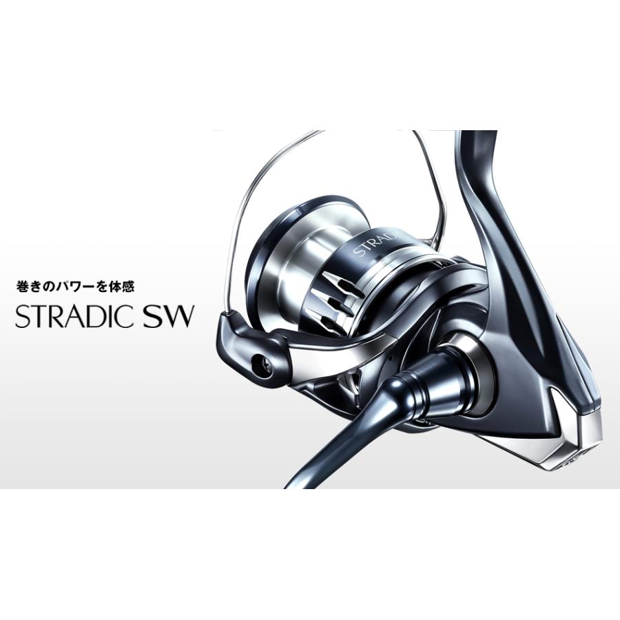 SHIMANO 20 Stradic SW 8000HG
