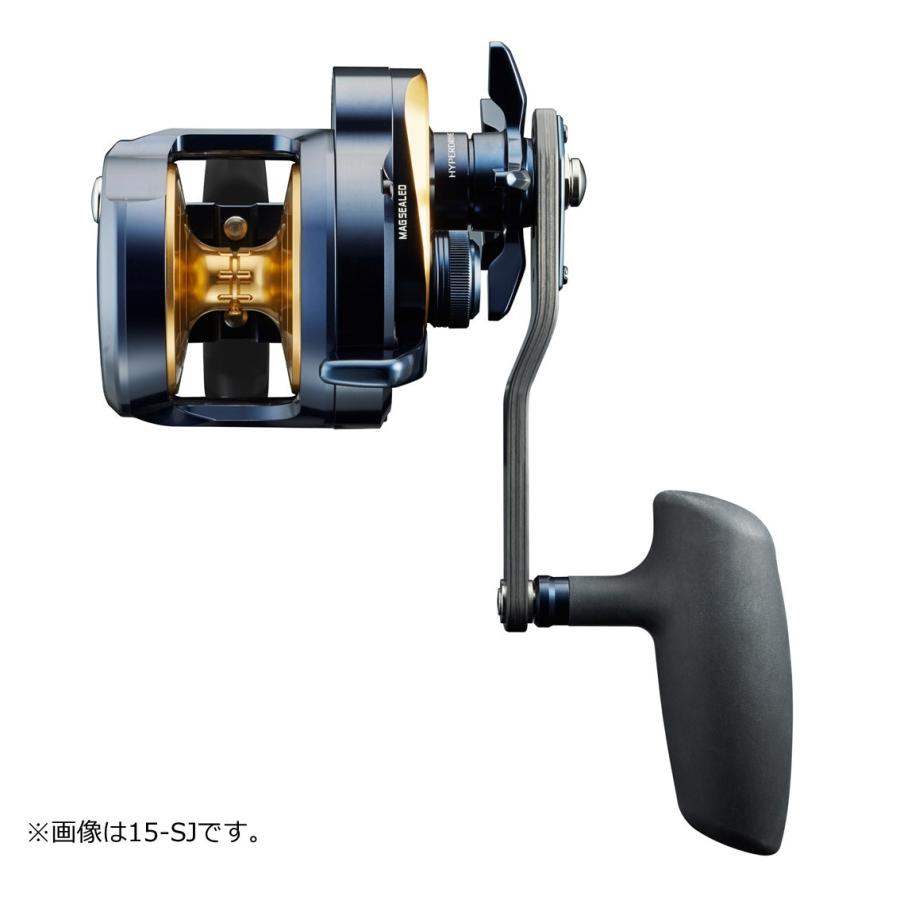 DAIWA Baitcasting Reel 22 Saltiga 15H-SJ (Right)