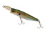 JACKALL　RISER BAIT 009P