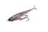 JACKALL  JELLY SARDINE54