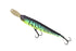 JACKALL　RISER BAIT 007R