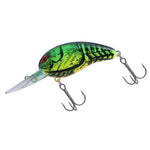 DAIWA    WILD PEANUT