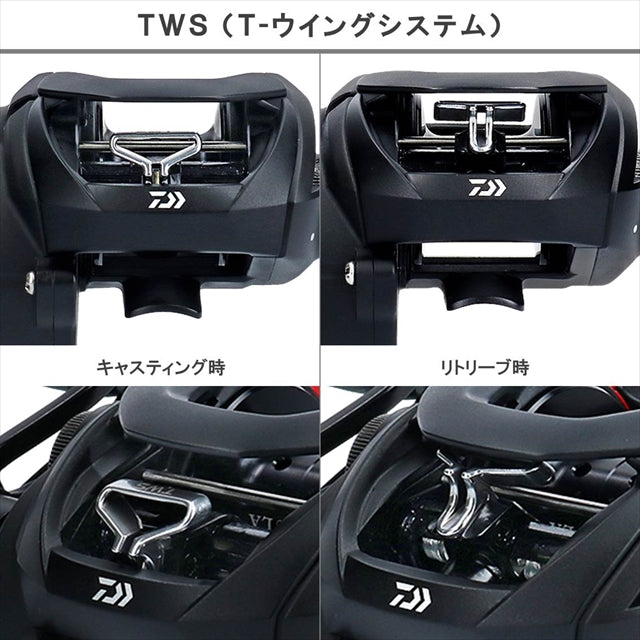 DAIWA  TATULA TW  2019 Model year