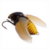 Megabass　BEETLE-X HOVER CRAWL