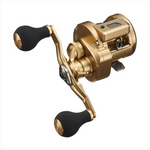 DAIWA  BASARA IC  2021 Model year