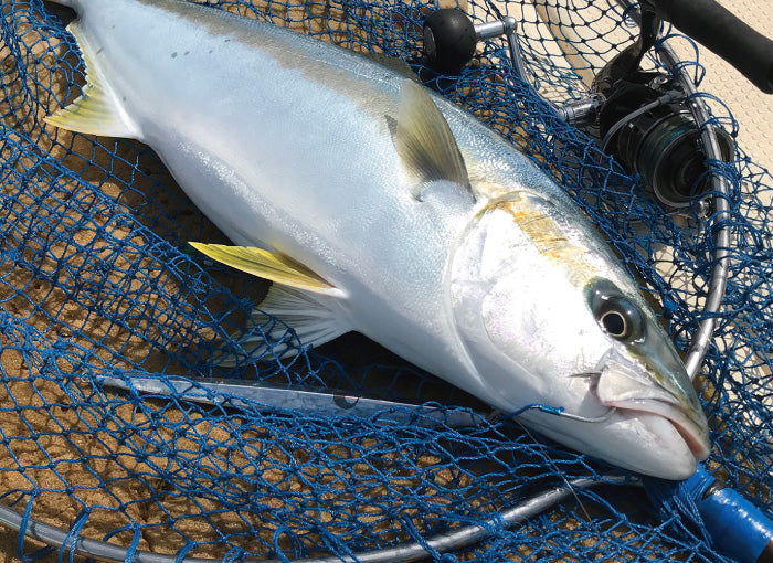 Gamakatsu JIGGING HOOK VERTICAL LIMIT