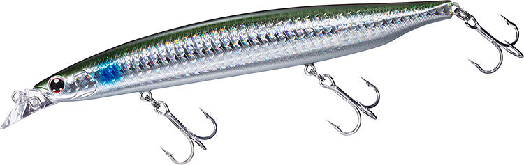 DAIWA     SHORELINE SHINER-Z VERTICE R   Sinking