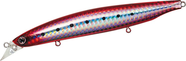 DAIWA     SHORELINE SHINER-Z VERTICE R   Sinking