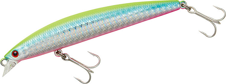 DAIWA     SHORELINE SHINER-Z SETUPPER SLIM