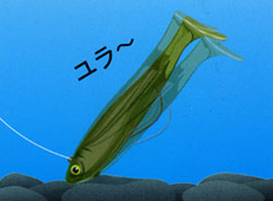 IMAKATSU　Bacurato Swimmer