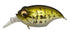 Megabass　SR-X GRIFFON