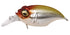 Megabass　GRIFFON Bait Finesse SR-X