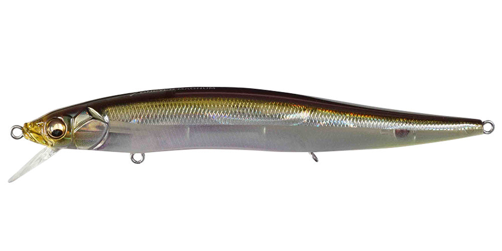 Megabass　VISION ONETEN MAGNUM