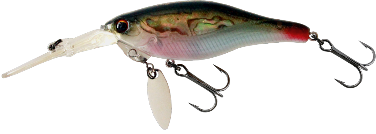 IMAKATSU　Do-No Shad High Pitch