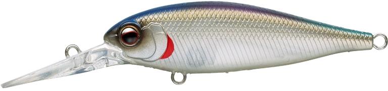 EVERGREEN  Bank Shad MID