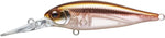 EVERGREEN  Bank Shad MID