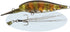 EVERGREEN  Bank Shad MID