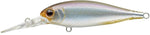 EVERGREEN  Bank Shad MID