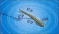 IMAKATSU　Needle Shad