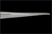 IMAKATSU　Needle Shad